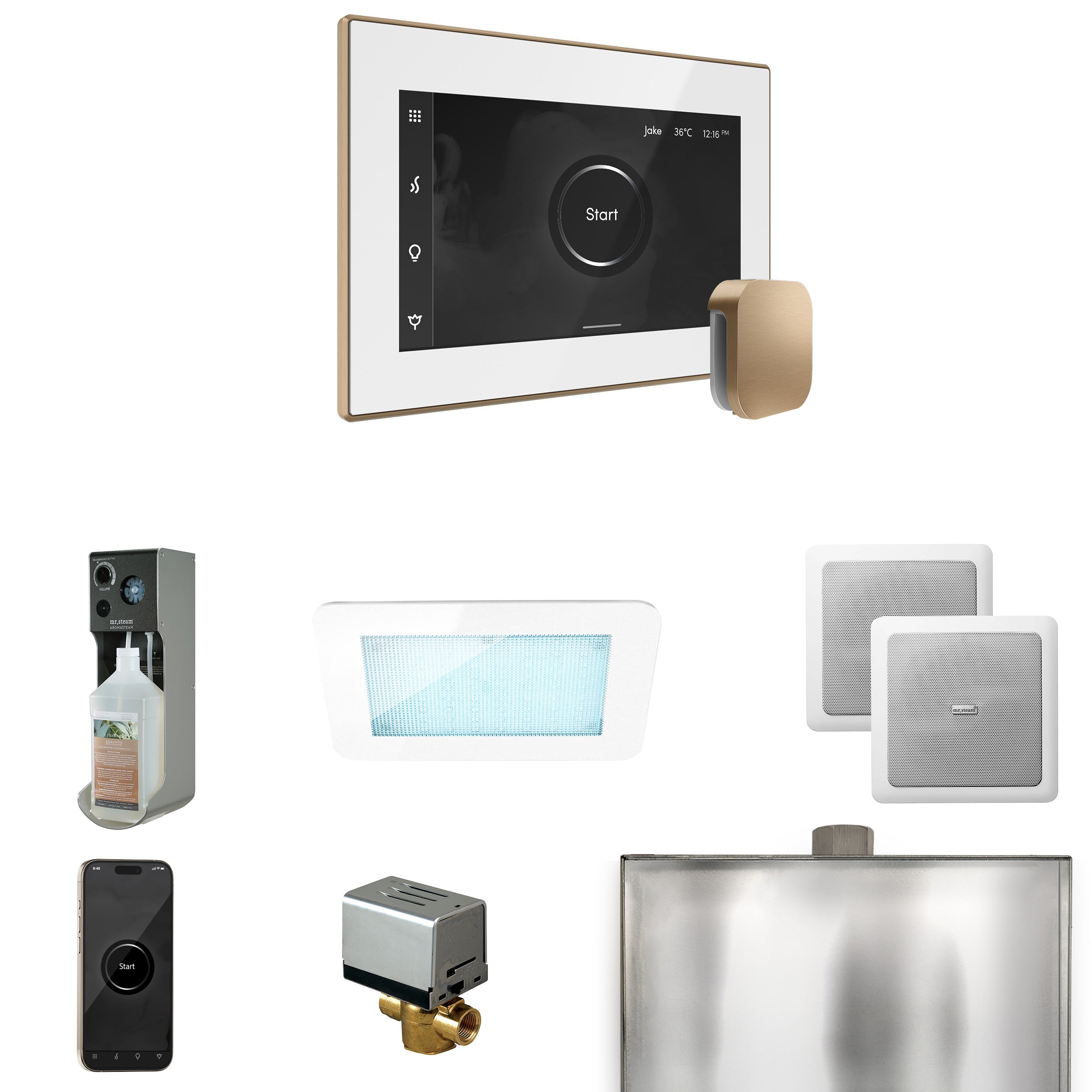 Mr. Steam XDream Steam Shower Control Package with iSteamX Control and Steamhead Mr. Steam