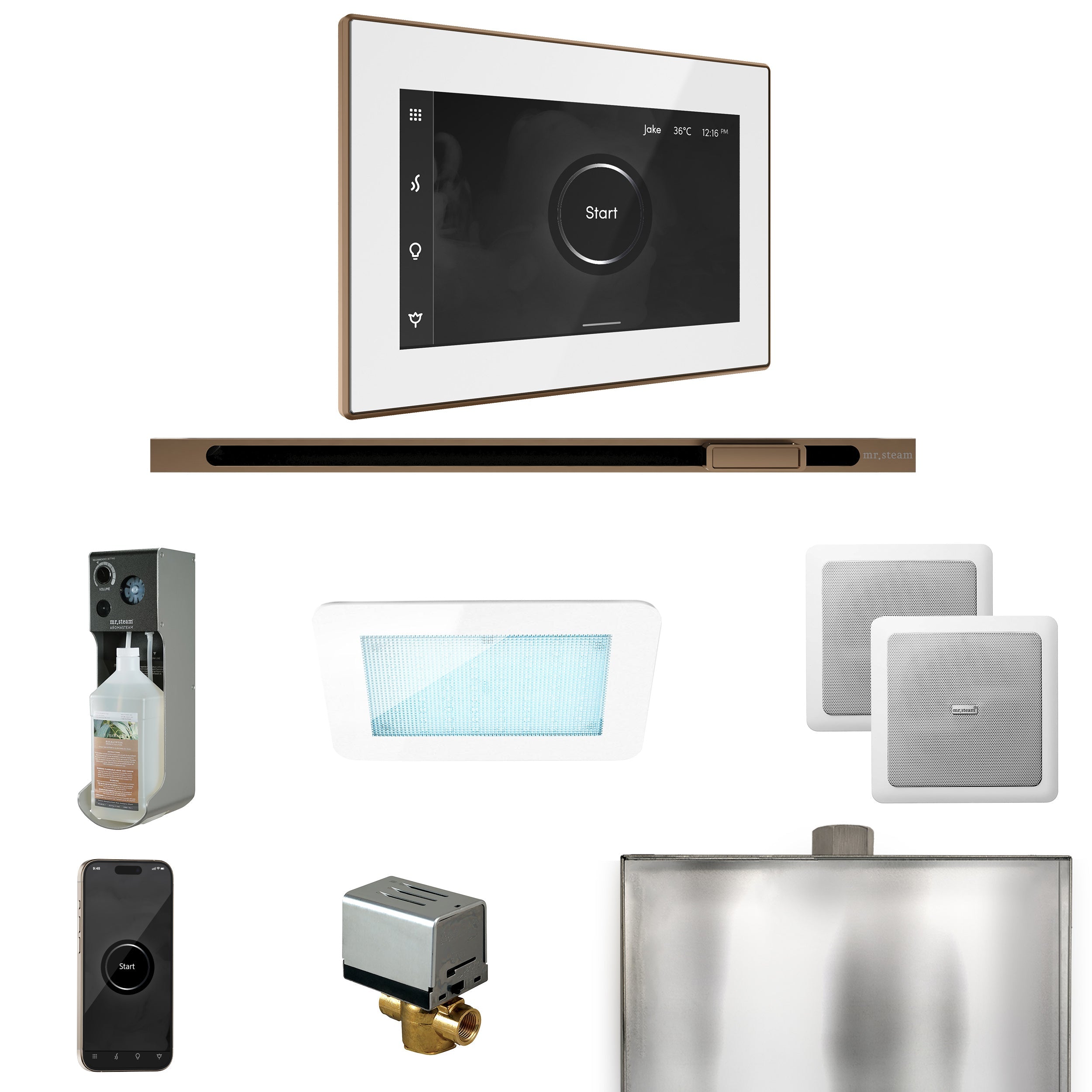Mr. Steam XDream Steam Shower Control Package with iSteamX Control and Linear Steamhead Mr. Steam
