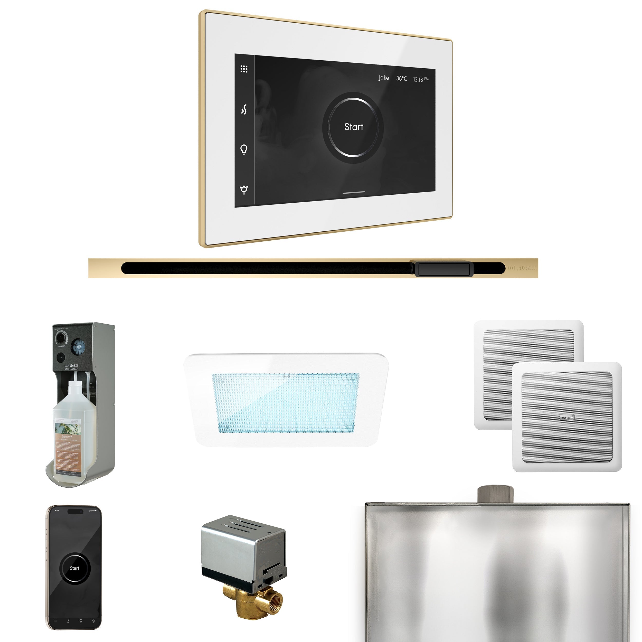 Mr. Steam XDream Steam Shower Control Package with iSteamX Control and Linear Steamhead Mr. Steam