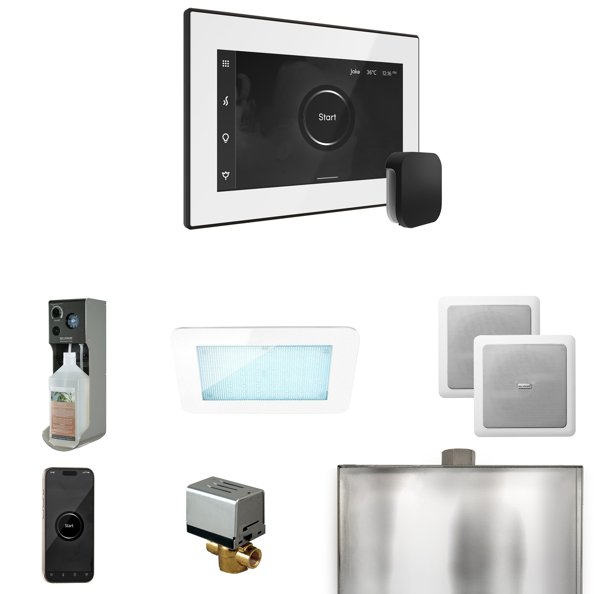Mr. Steam XDream Steam Shower Control Package with iSteamX Control and Steamhead Mr. Steam