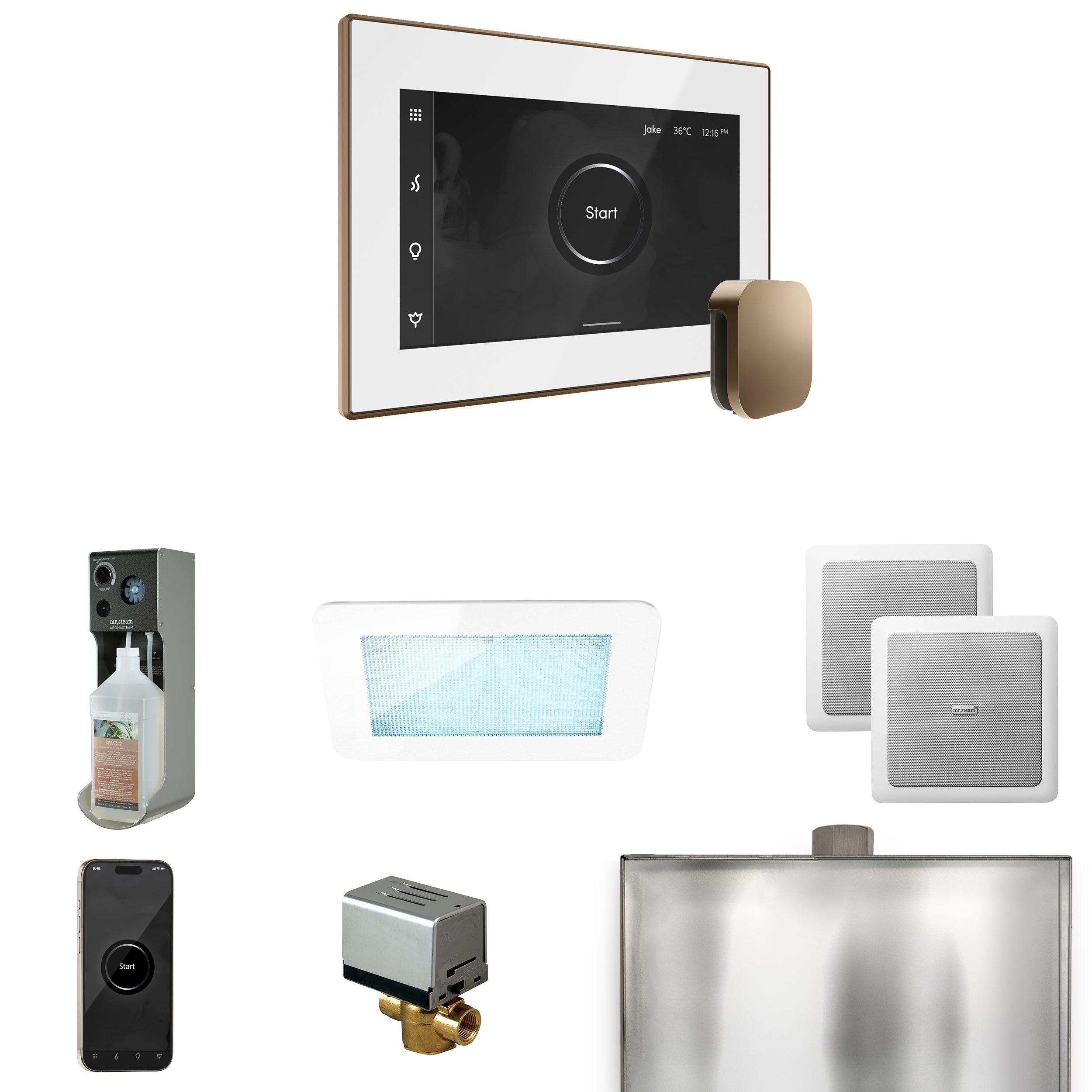 Mr. Steam XDream Steam Shower Control Package with iSteamX Control and Steamhead Mr. Steam