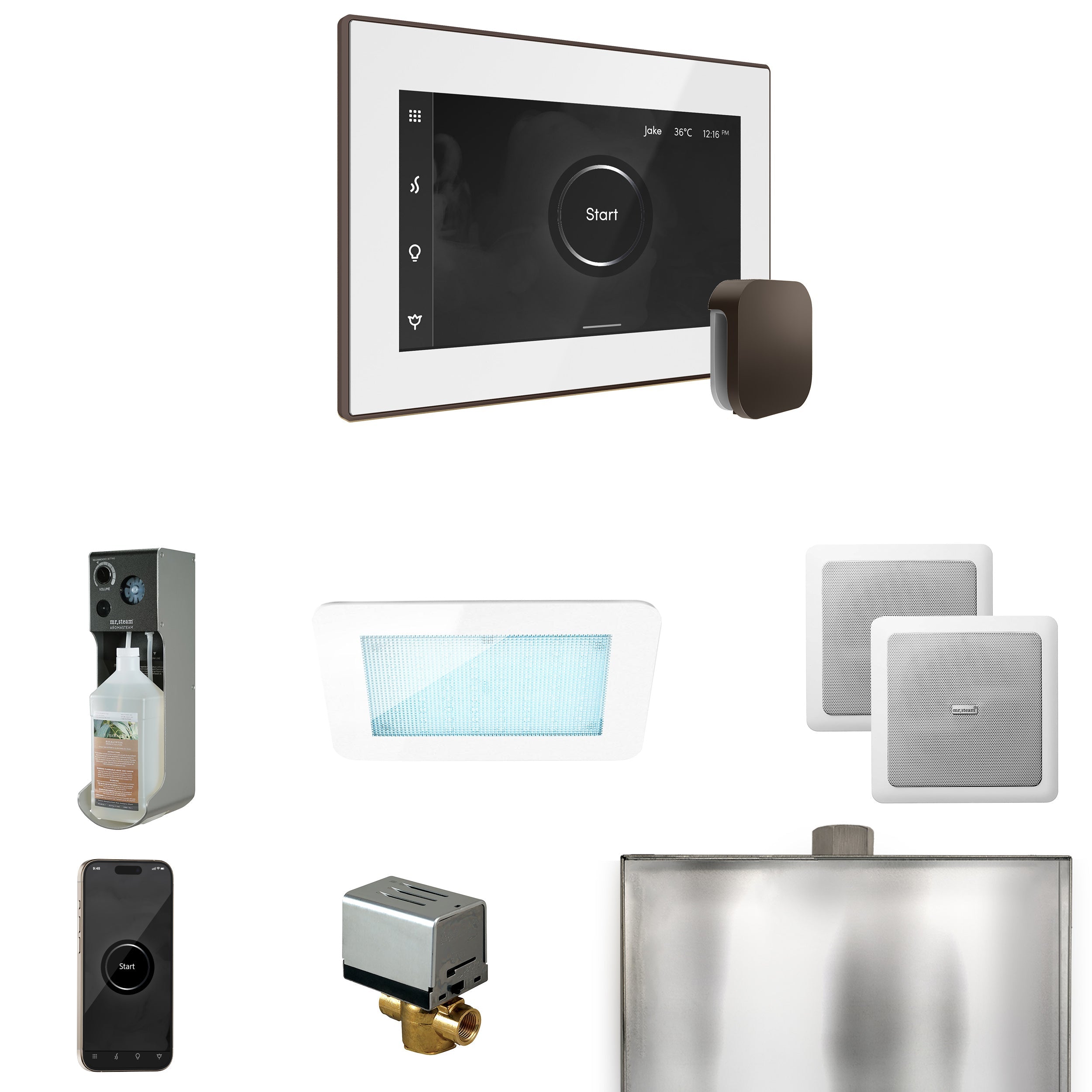Mr. Steam XDream Steam Shower Control Package with iSteamX Control and Steamhead Mr. Steam