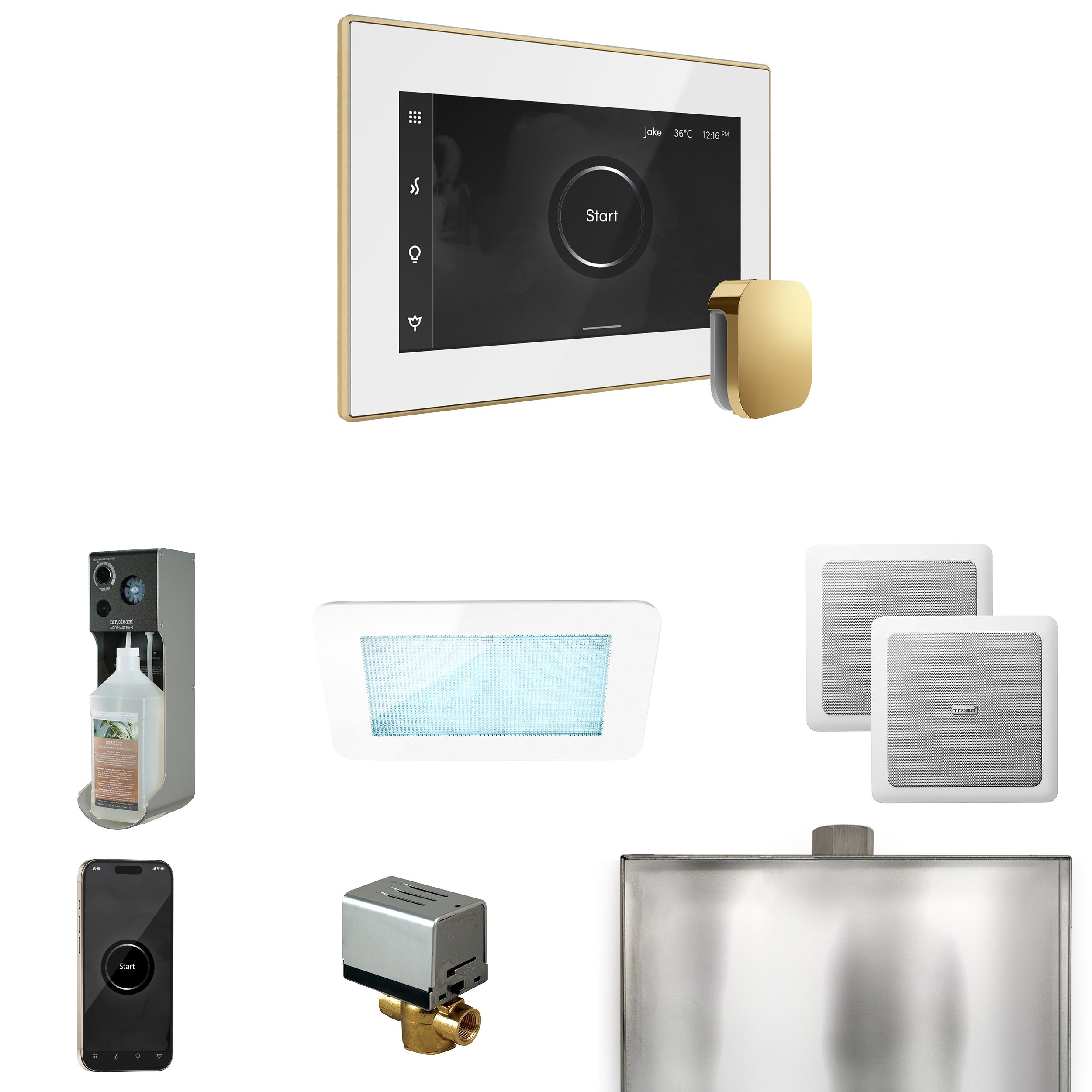 Mr. Steam XDream Steam Shower Control Package with iSteamX Control and Steamhead Mr. Steam