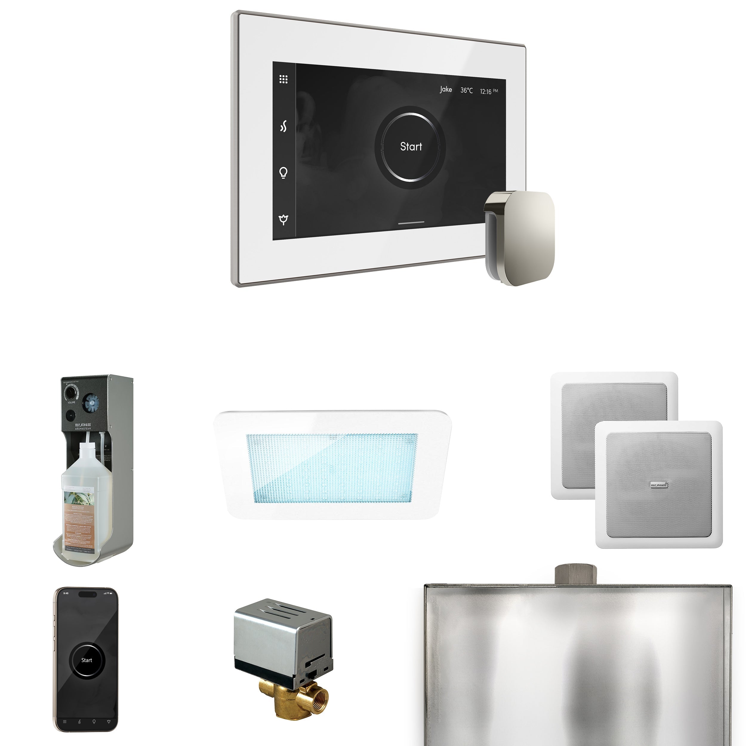 Mr. Steam XDream Steam Shower Control Package with iSteamX Control and Steamhead Mr. Steam