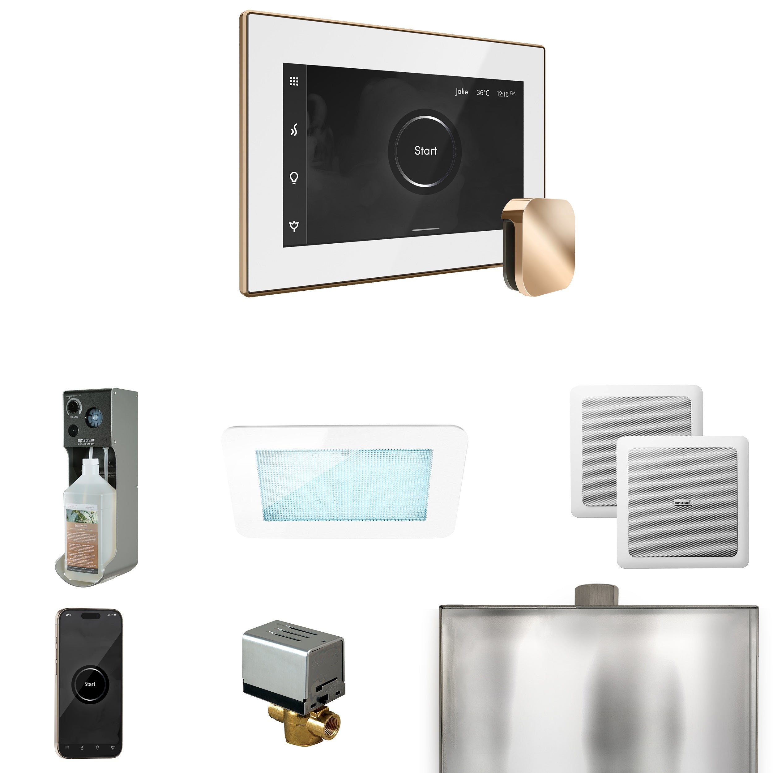 Mr. Steam XDream Steam Shower Control Package with iSteamX Control and Steamhead Mr. Steam