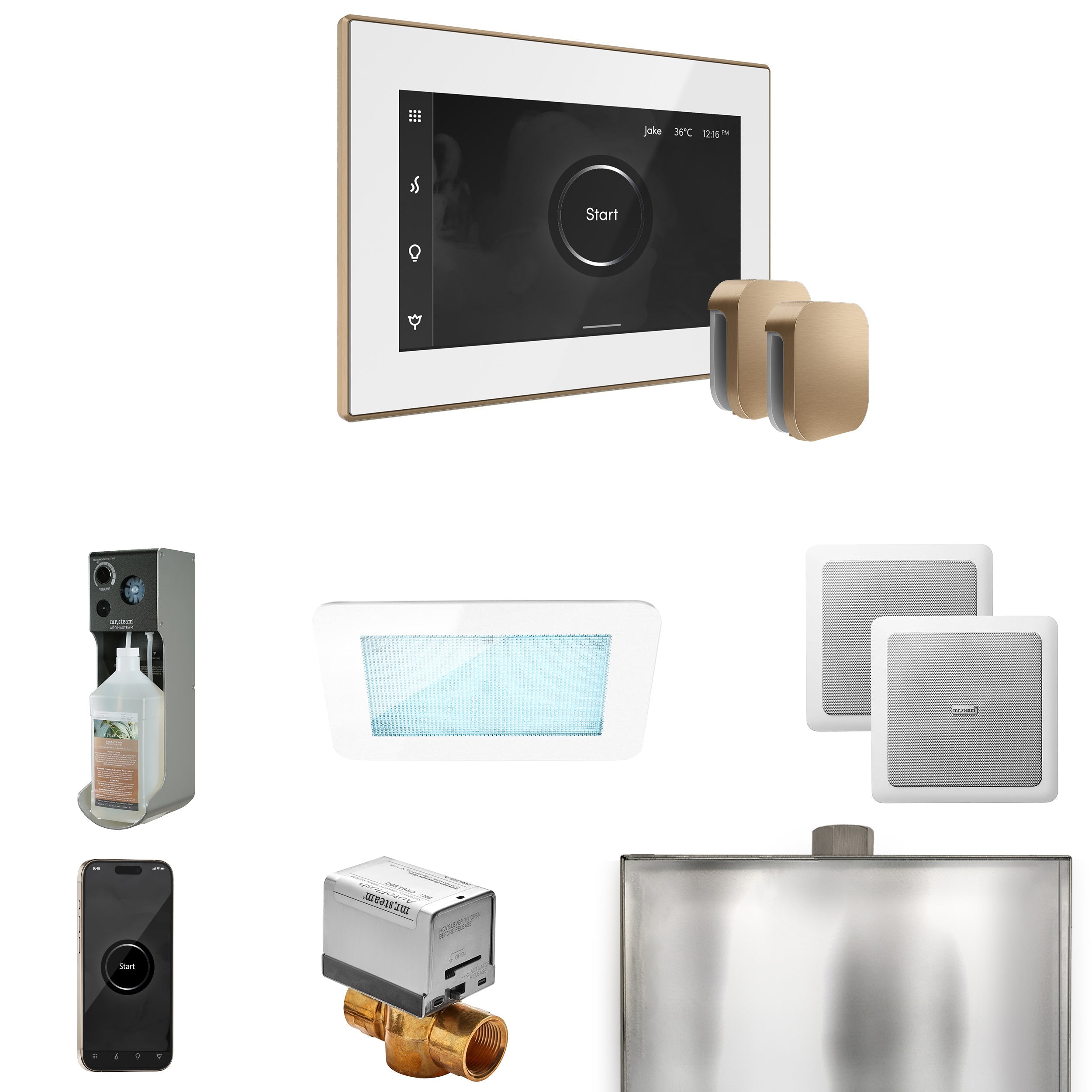 Mr. Steam XDream Max Steam Shower Control Package with iSteamX Control and Steamhead Mr. Steam