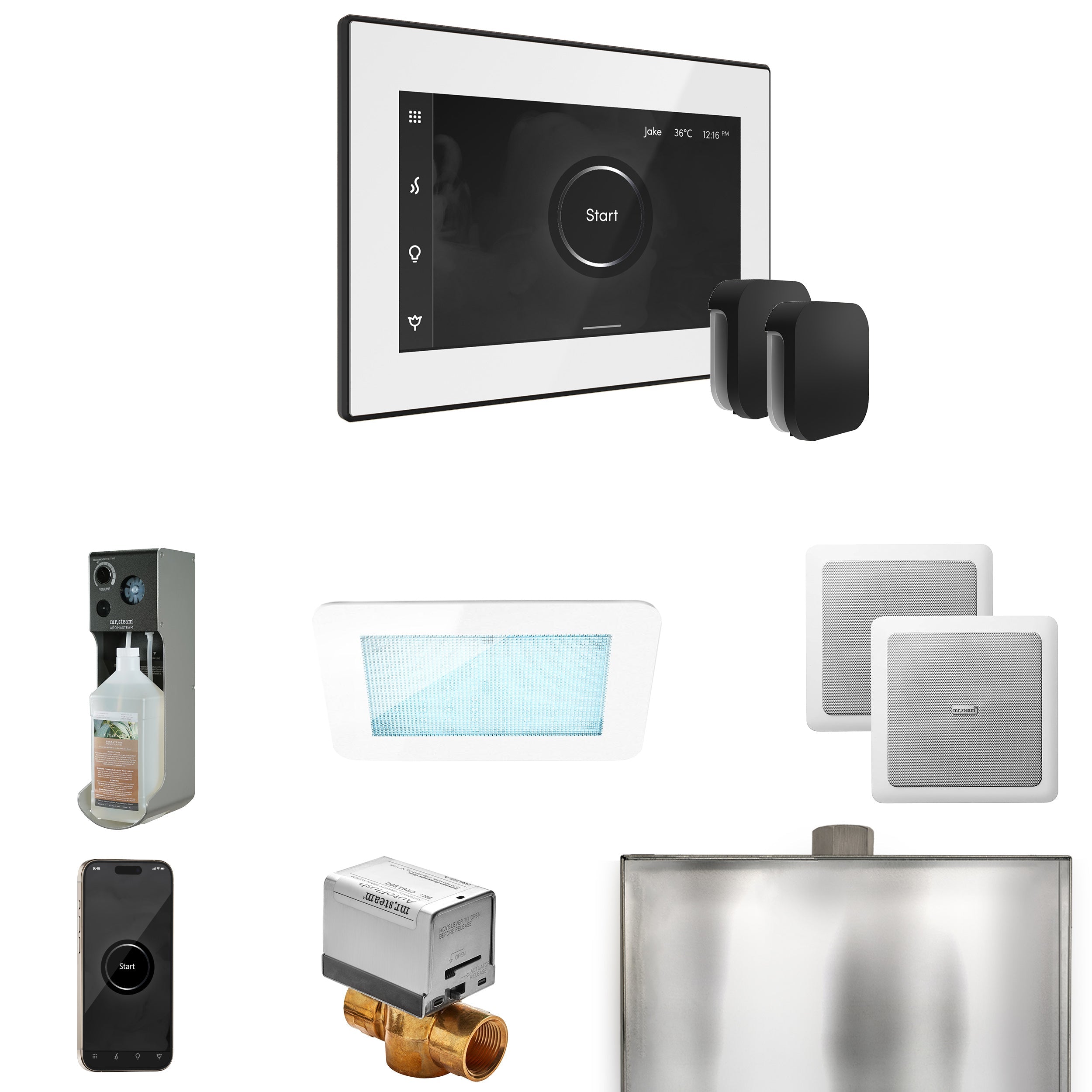 Mr. Steam XDream Max Steam Shower Control Package with iSteamX Control and Steamhead Mr. Steam