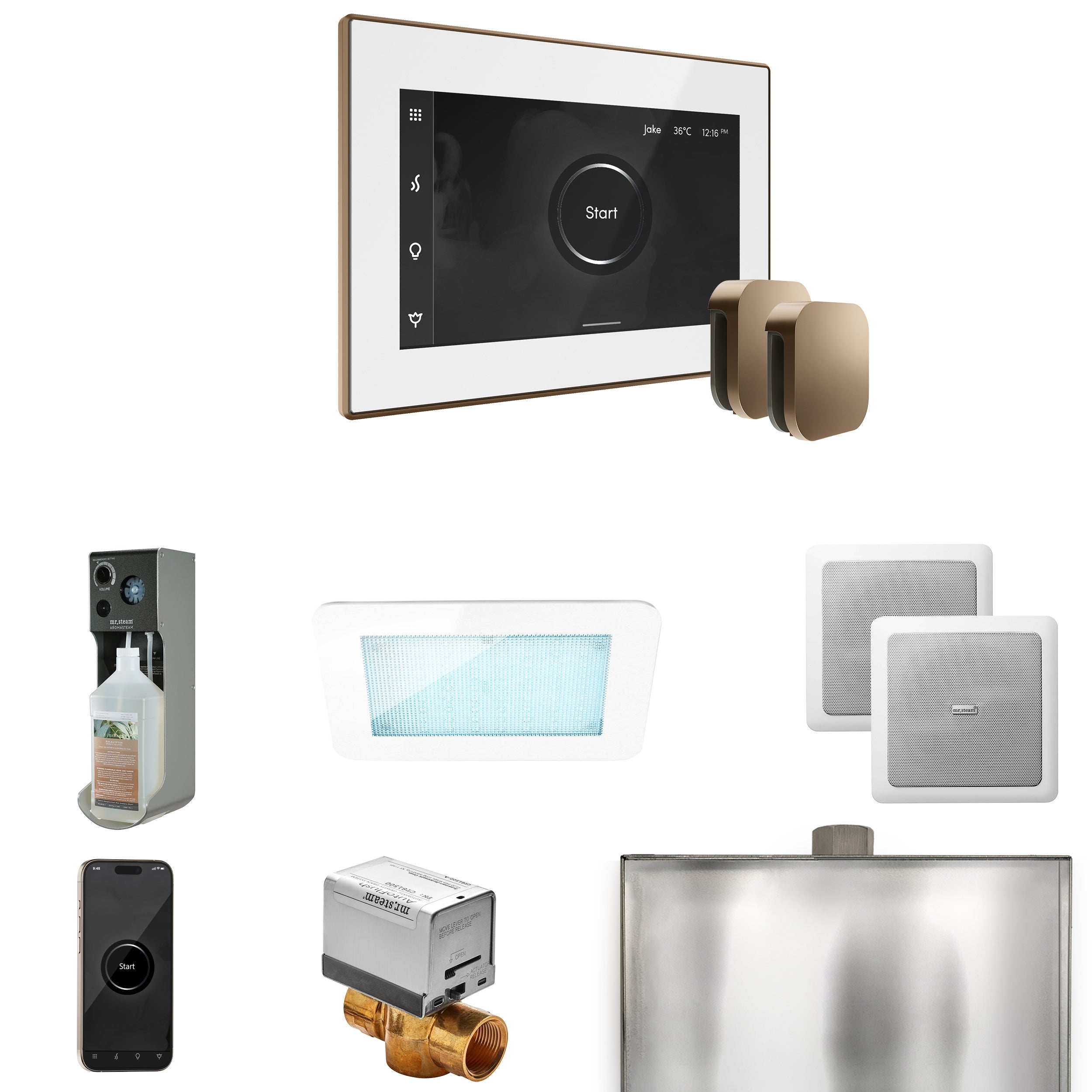 Mr. Steam XDream Max Steam Shower Control Package with iSteamX Control and Steamhead Mr. Steam