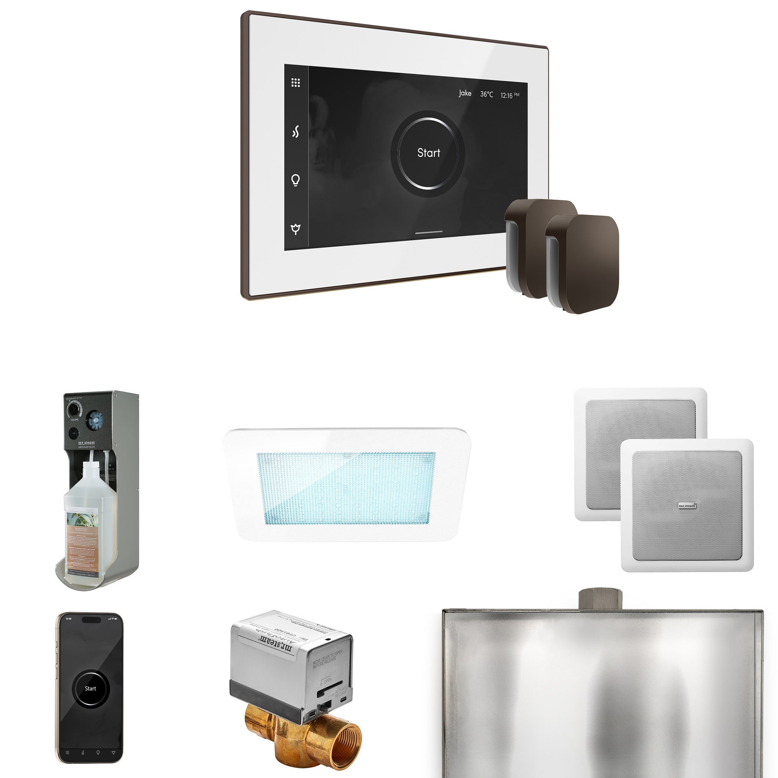 Mr. Steam XDream Max Steam Shower Control Package with iSteamX Control and Steamhead Mr. Steam