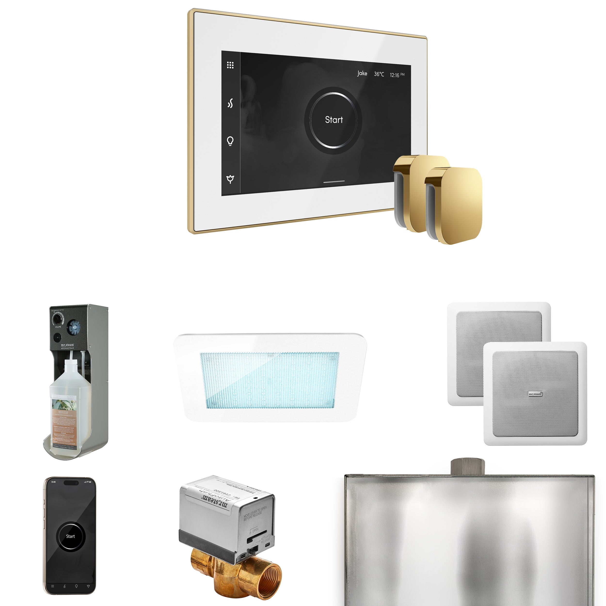 Mr. Steam XDream Max Steam Shower Control Package with iSteamX Control and Steamhead Mr. Steam