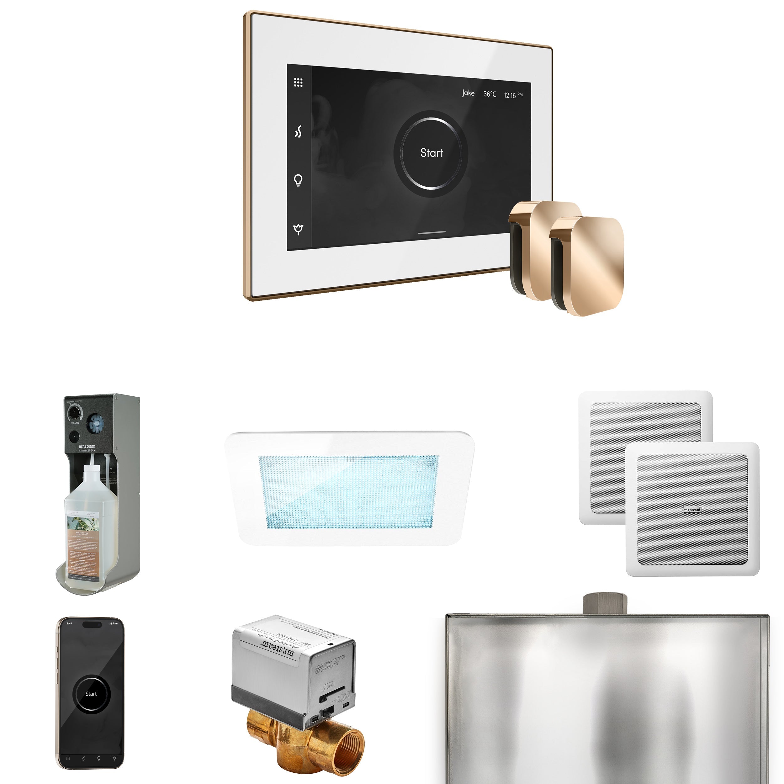 Mr. Steam XDream Max Steam Shower Control Package with iSteamX Control and Steamhead Mr. Steam