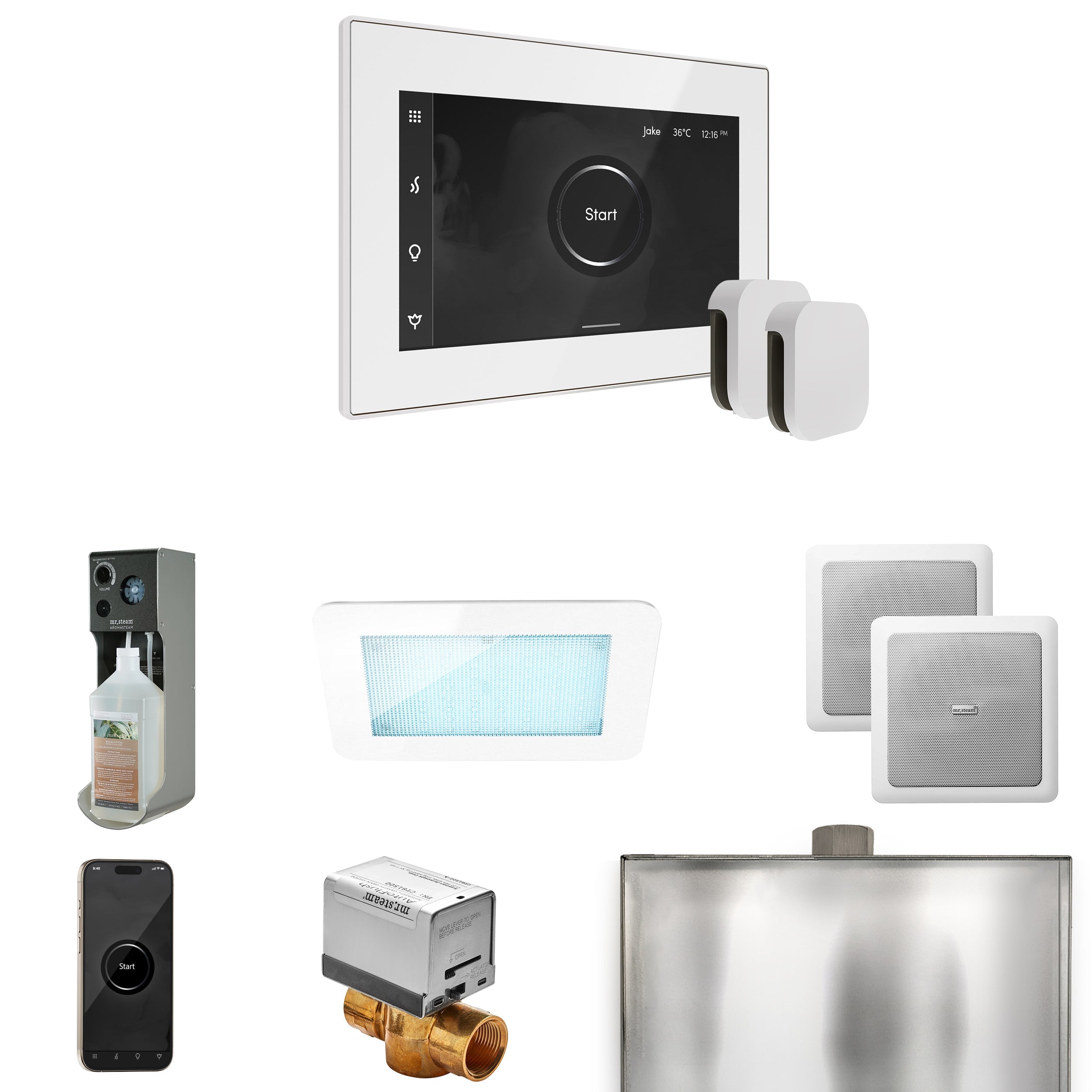 Mr. Steam XDream Max Steam Shower Control Package with iSteamX Control and Steamhead Mr. Steam