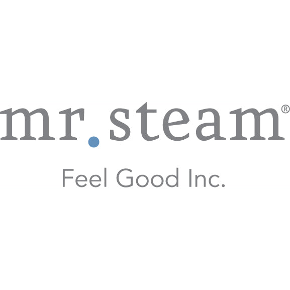 Mr. Steam 104544BK ISTEAMX BLACK, REPLACEMENT - ArtofSteamCo