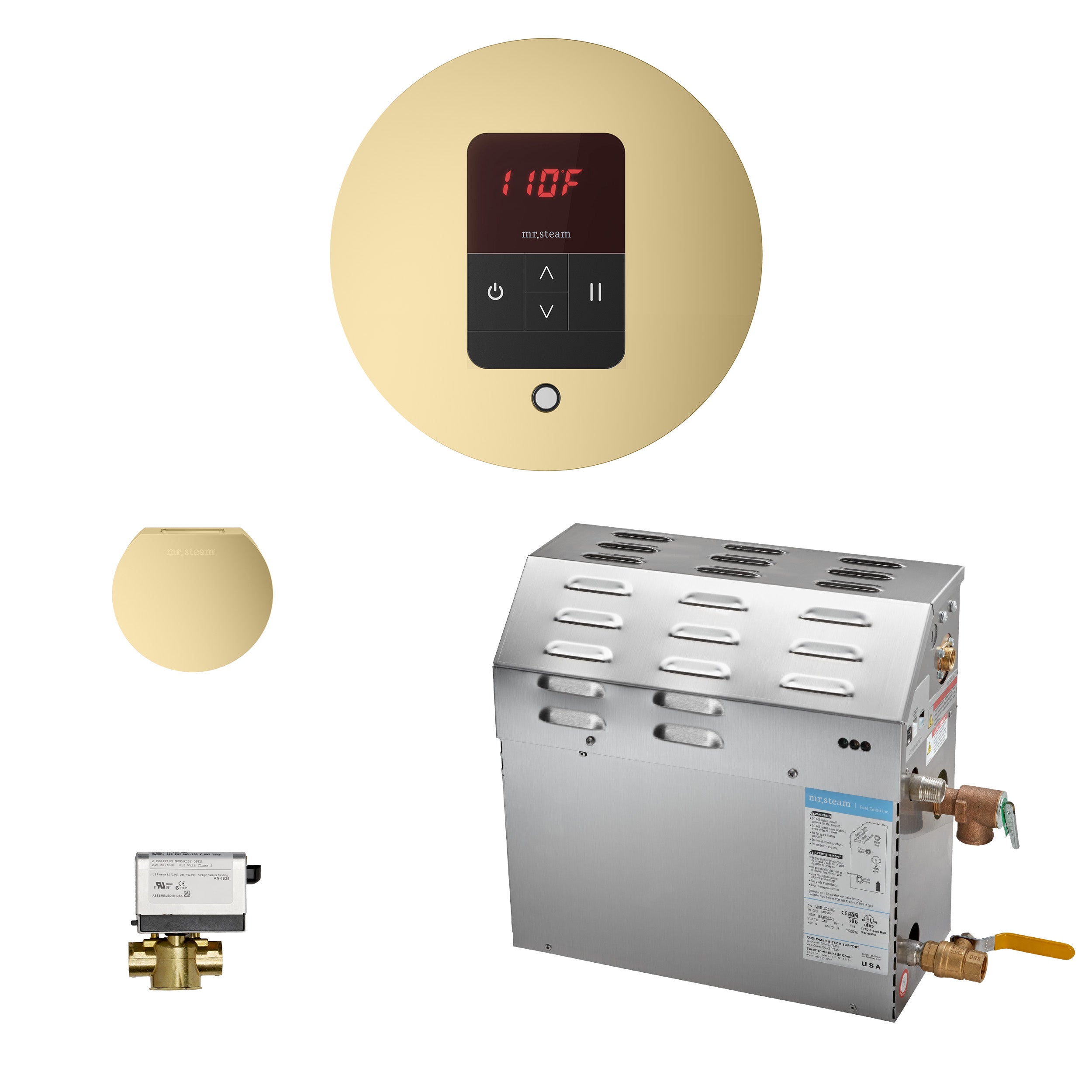 Mr. Steam eSeries 6kW Steam Bath Generator at 240V with iTempo Control with matching AromaSteam iSteam SteamHead, and AutoFlush. - ArtofSteamCo