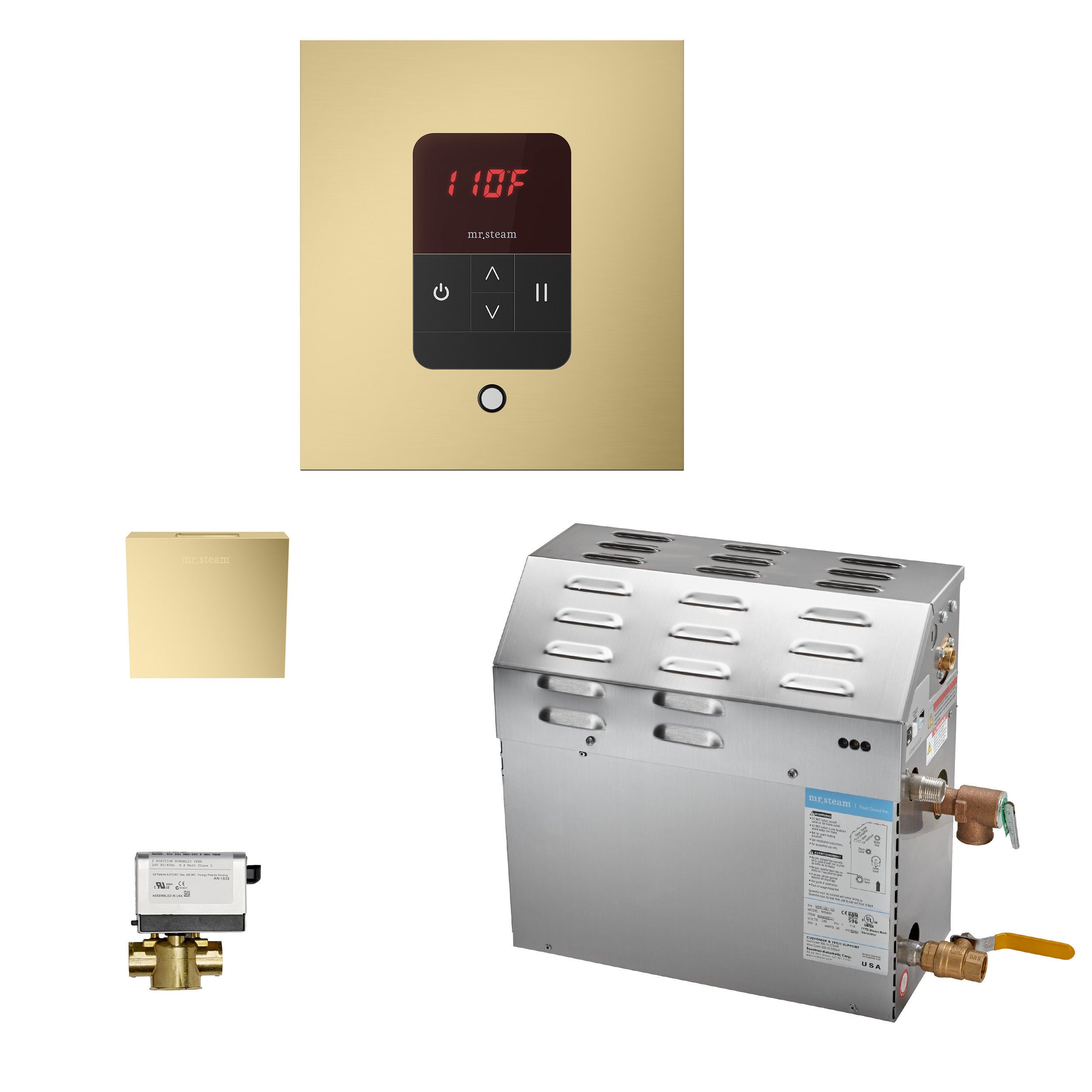 Mr. Steam eSeries 6kW Steam Bath Generator at 240V with iTempo Control with matching AromaSteam iSteam SteamHead, and AutoFlush. - ArtofSteamCo